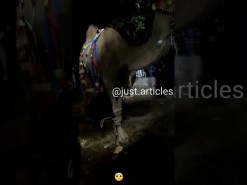 فیصل آباد کے علاقے ثمن آباد میں فجر کے وقت اندھیرے میں  قربانی کرتے ہوئے ٹرانسفارمر گھِر گیا