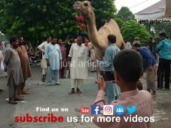 2019 1st day qurbani