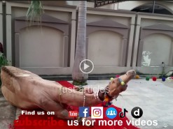 camel qurbani a1 gujranwala Pakistan 2015