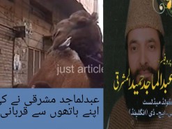 camel qurbani by mashriq science school